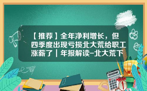 【推荐】全年净利增长，但四季度出现亏损北大荒给职工涨薪了｜年报解读-北大荒下属公司