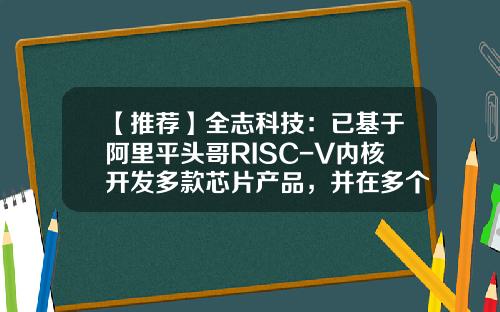 【推荐】全志科技：已基于阿里平头哥RISC-V内核开发多款芯片产品，并在多个下游应用场景实现量产-全志科技子公司