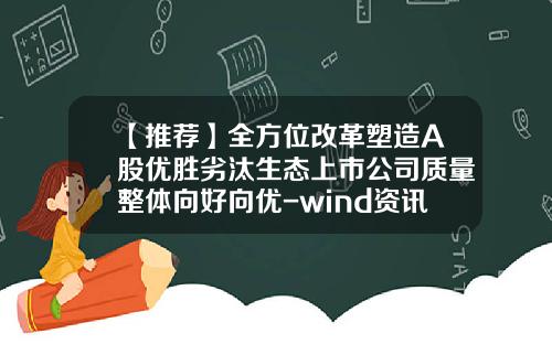 【推荐】全方位改革塑造A股优胜劣汰生态上市公司质量整体向好向优-wind资讯股票专家体验版专业版