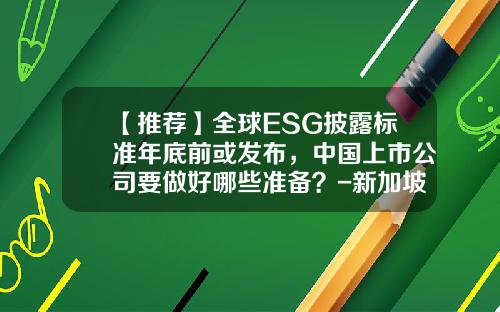 【推荐】全球ESG披露标准年底前或发布，中国上市公司要做好哪些准备？-新加坡上市公司08年年报