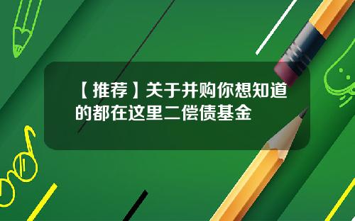 【推荐】关于并购你想知道的都在这里二偿债基金
