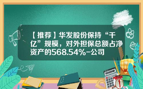 【推荐】华发股份保持“千亿”规模，对外担保总额占净资产的568.54%-公司股东对外担保