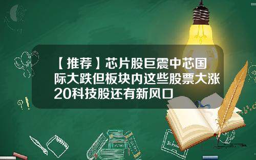 【推荐】芯片股巨震中芯国际大跌但板块内这些股票大涨20科技股还有新风口