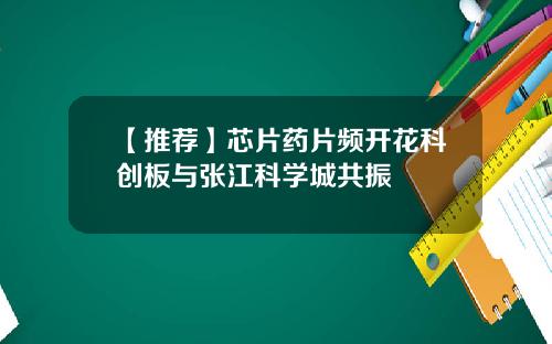 【推荐】芯片药片频开花科创板与张江科学城共振