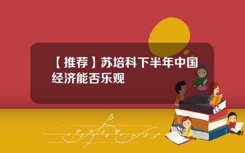 【推荐】苏培科下半年中国经济能否乐观
