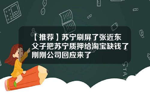 【推荐】苏宁刷屏了张近东父子把苏宁质押给淘宝缺钱了刚刚公司回应来了