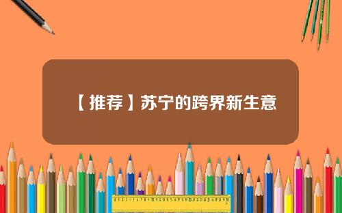 【推荐】苏宁的跨界新生意