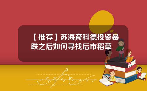 【推荐】苏海彦科德投资暴跌之后如何寻找后市稻草