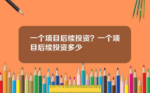 一个项目后续投资？一个项目后续投资多少