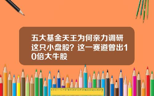 五大基金天王为何亲力调研这只小盘股？这一赛道曾出10倍大牛股