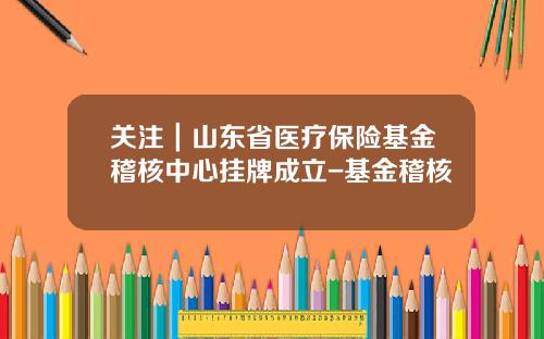 关注｜山东省医疗保险基金稽核中心挂牌成立-基金稽核