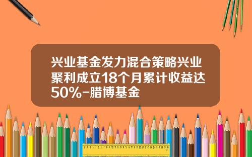 兴业基金发力混合策略兴业聚利成立18个月累计收益达50%-腊博基金