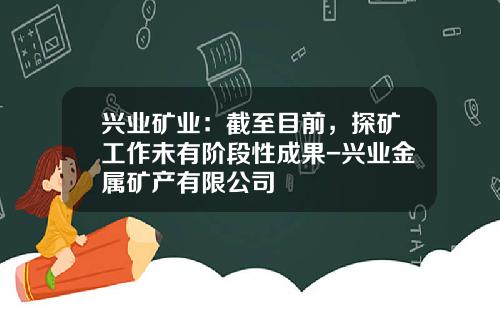 兴业矿业：截至目前，探矿工作未有阶段性成果-兴业金属矿产有限公司