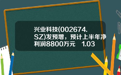 兴业科技(002674.SZ)发预增，预计上半年净利润8800万元–1.03亿元增长71.23%–100.41%-兴业银行三季业绩预增多少