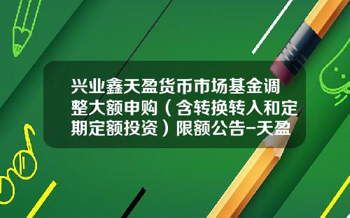 兴业鑫天盈货币市场基金调整大额申购（含转换转入和定期定额投资）限额公告-天盈基金