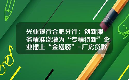 兴业银行合肥分行：创新服务精准浇灌为“专精特新”企业插上“金翅膀”-厂房贷款能贷多少年