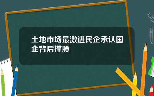 土地市场最激进民企承认国企背后撑腰