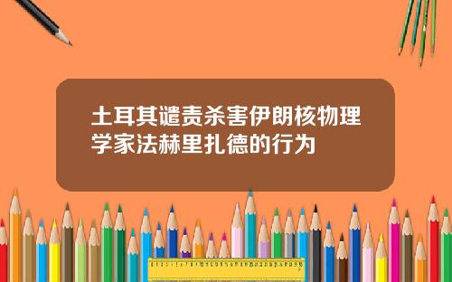土耳其谴责杀害伊朗核物理学家法赫里扎德的行为