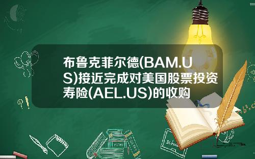 布鲁克菲尔德(BAM.US)接近完成对美国股票投资寿险(AEL.US)的收购-美国长期资产管理公司