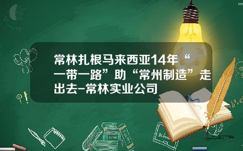 常林扎根马来西亚14年“一带一路”助“常州制造”走出去-常林实业公司