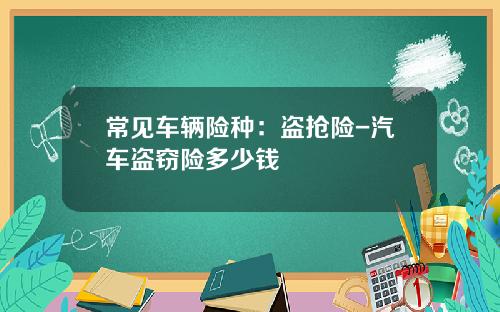 常见车辆险种：盗抢险-汽车盗窃险多少钱
