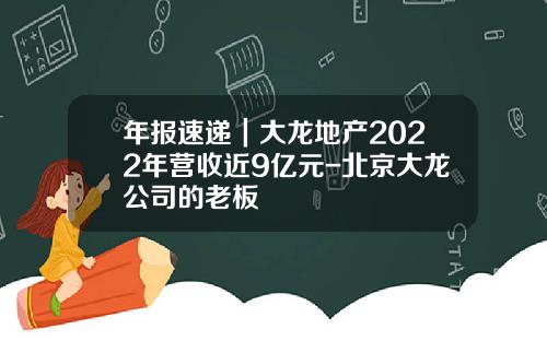 年报速递｜大龙地产2022年营收近9亿元-北京大龙公司的老板