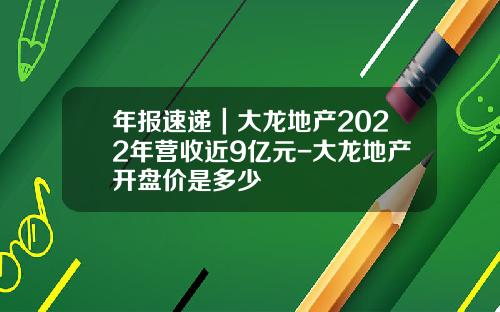 年报速递｜大龙地产2022年营收近9亿元-大龙地产开盘价是多少