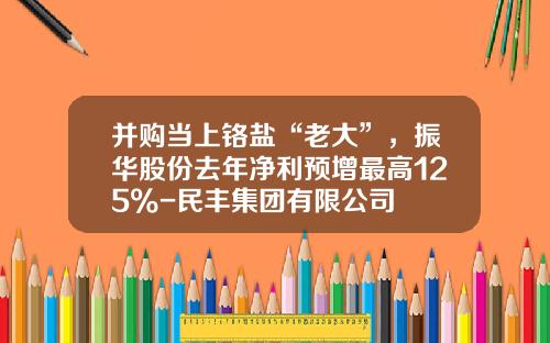 并购当上铬盐“老大”，振华股份去年净利预增最高125%-民丰集团有限公司