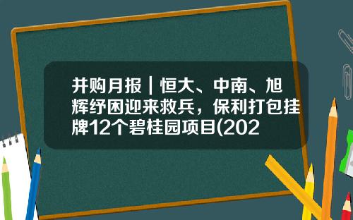 并购月报｜恒大、中南、旭辉纾困迎来救兵，保利打包挂牌12个碧桂园项目(2023年2月)-地产基金拿地