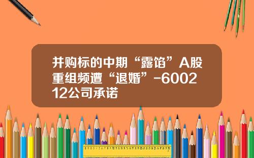 并购标的中期“露馅”A股重组频遭“退婚”-600212公司承诺