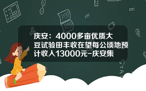 庆安：4000多亩优质大豆试验田丰收在望每公顷地预计收入13000元-庆安集团净利润有多少
