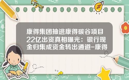 康得集团抽逃康得碳谷项目22亿出资真相曝光：银行现金归集成资金转出通道-康得世纪能源科技有限公司