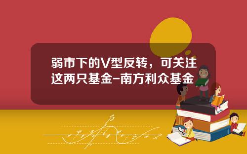 弱市下的V型反转，可关注这两只基金-南方利众基金