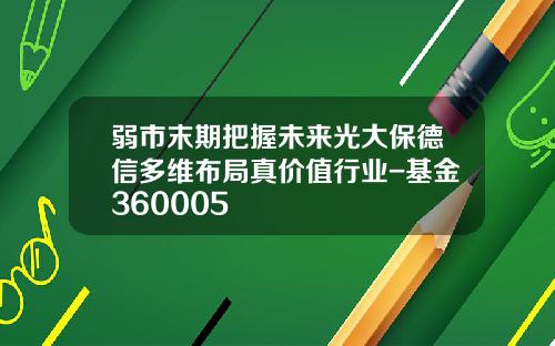 弱市末期把握未来光大保德信多维布局真价值行业-基金360005