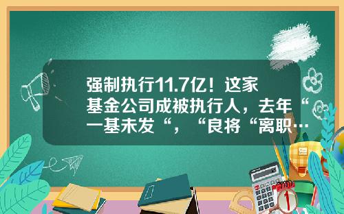 强制执行11.7亿！这家基金公司成被执行人，去年“一基未发“，“良将“离职…-诺宝基金