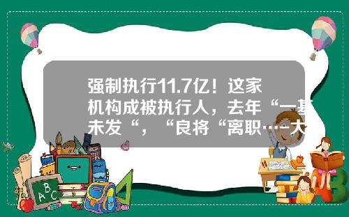 强制执行11.7亿！这家机构成被执行人，去年“一基未发“，“良将“离职…-大连恒泰基贸易有限公司
