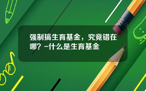 强制搞生育基金，究竟错在哪？-什么是生育基金