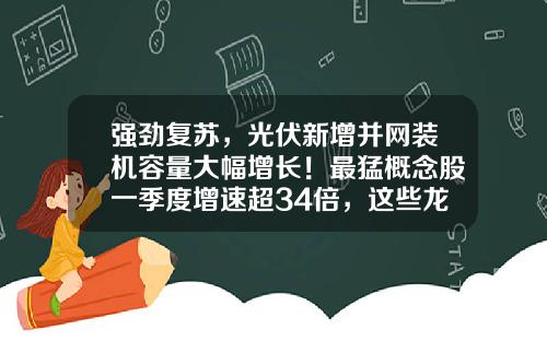 强劲复苏，光伏新增并网装机容量大幅增长！最猛概念股一季度增速超34倍，这些龙头公司市盈率不到20倍-股票资讯最快公司排名一览