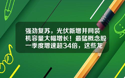 强劲复苏，光伏新增并网装机容量大幅增长！最猛概念股一季度增速超34倍，这些龙头公司市盈率不到20倍-股票资讯最快公司推荐