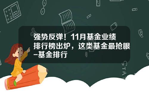 强势反弹！11月基金业绩排行榜出炉，这类基金最抢眼-基金排行