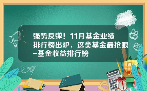 强势反弹！11月基金业绩排行榜出炉，这类基金最抢眼-基金收益排行榜
