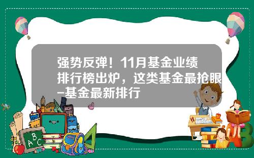 强势反弹！11月基金业绩排行榜出炉，这类基金最抢眼-基金最新排行