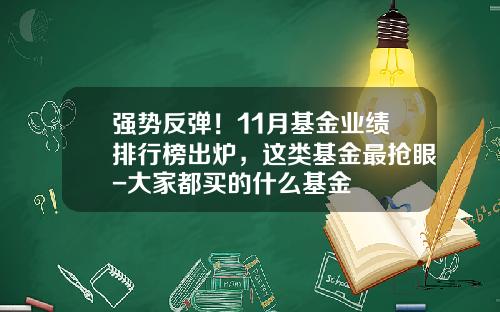 强势反弹！11月基金业绩排行榜出炉，这类基金最抢眼-大家都买的什么基金