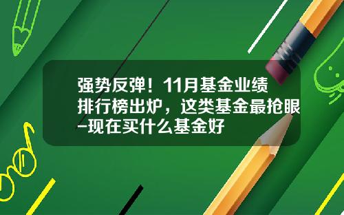 强势反弹！11月基金业绩排行榜出炉，这类基金最抢眼-现在买什么基金好
