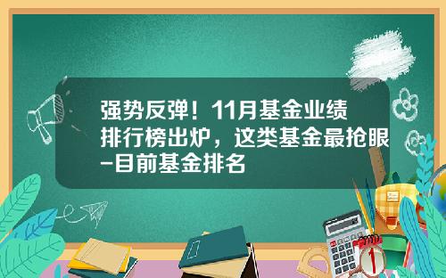 强势反弹！11月基金业绩排行榜出炉，这类基金最抢眼-目前基金排名
