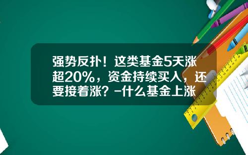 强势反扑！这类基金5天涨超20%，资金持续买入，还要接着涨？-什么基金上涨