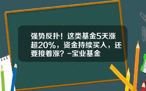 强势反扑！这类基金5天涨超20%，资金持续买入，还要接着涨？-宝业基金