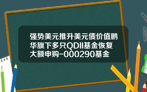 强势美元推升美元债价值鹏华旗下多只QDII基金恢复大额申购-000290基金