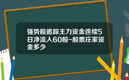 强势股追踪主力资金连续5日净流入60股-股票庄家资金多少