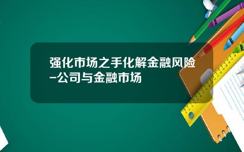 强化市场之手化解金融风险-公司与金融市场